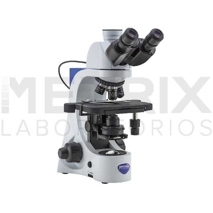 Microscopio B‑382PLI‑ALC