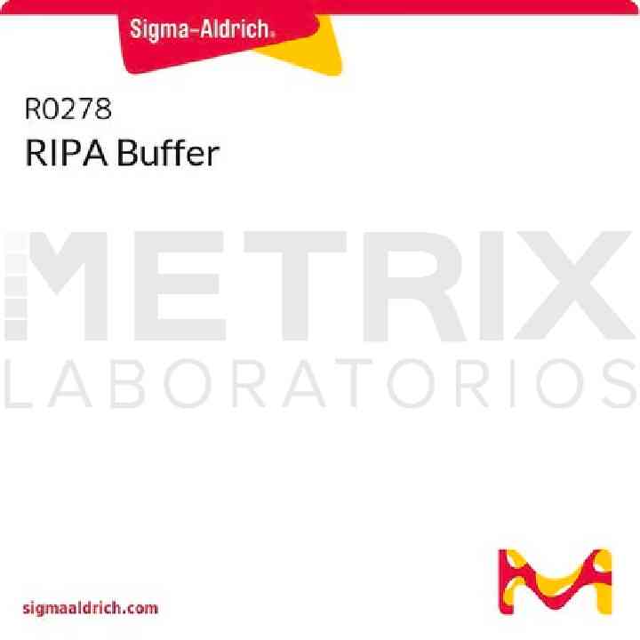 Tampón RIPA — R0278