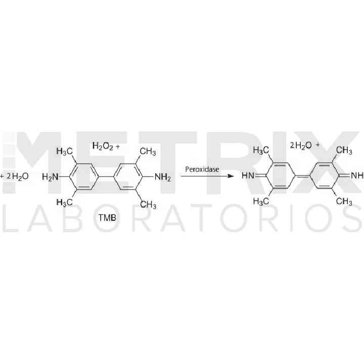 3,3′,5,5′-Tetramethylbenzidine