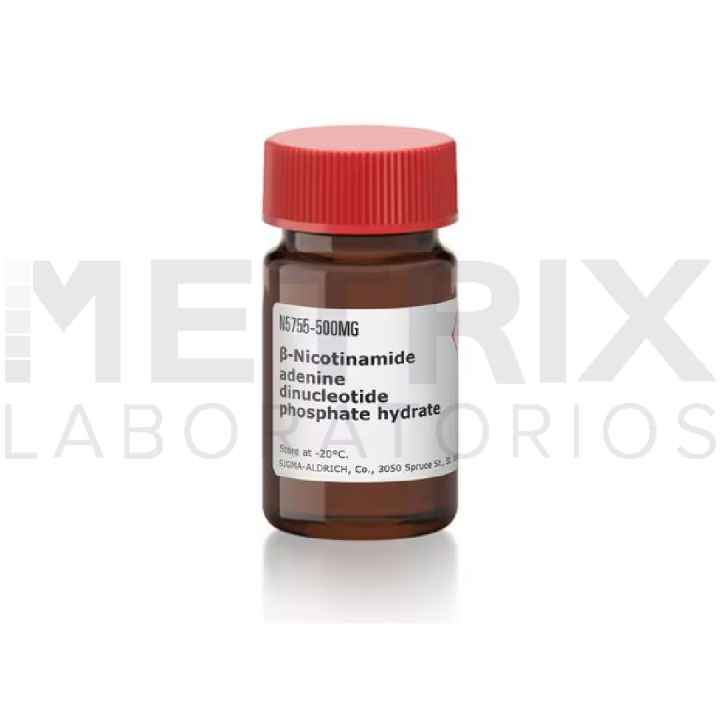 β-NADP+ Hidratado ≥95%